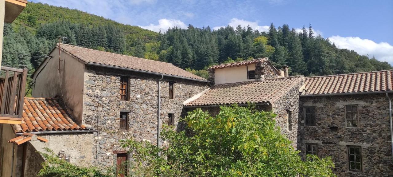 Gite D'Aigoual Valleraugue Exterior foto